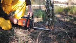 Best Aeration Services  in Lonville, GA