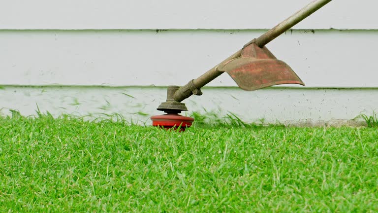 Best Leaf Removal  in Lonville, GA