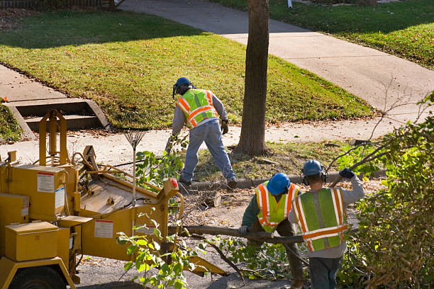 Best Lawn Pest Prevention  in Lonville, GA